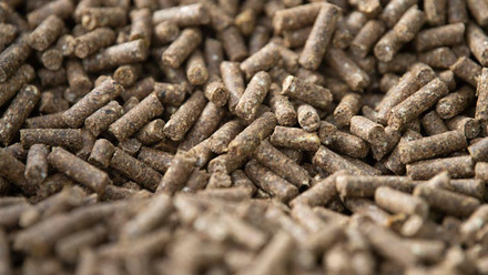 Dairy-feed-Nuts-picture-2-c-Massey-Feeds.jpg