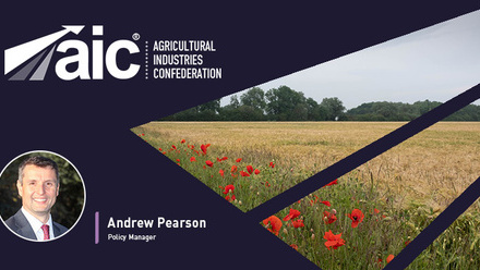 AIC Blog Module Andrew.jpg