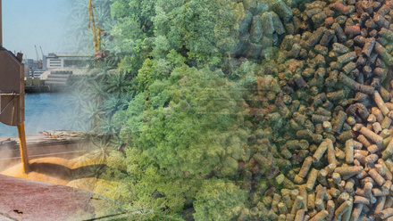 ASCS Header.jpg