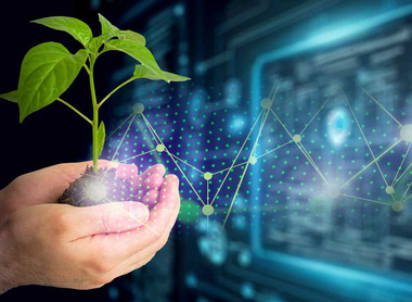 soil-hands-sustainability-data-c-AdobeStock_560466590.jpg