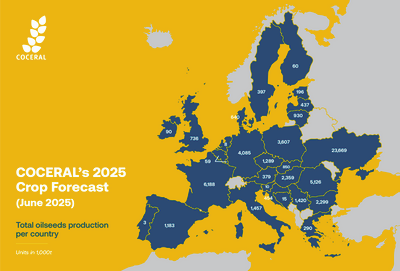 Crop forecast (oilseeds) - June 2025.png
