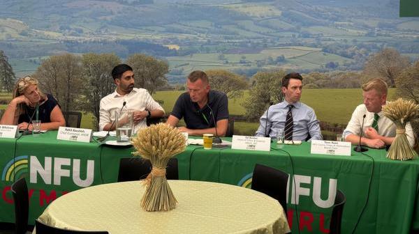 Ed Cymru Panel.jpg
