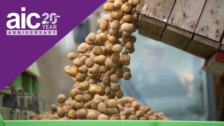 aic-at-20-mh-treated-potatoes-livestock-feed-c-tim-scrivener.jpg