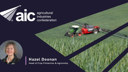 33950-AIC-Blog-NAP-asks-Hazel-Doonan-c-tim-scrivener.jpg