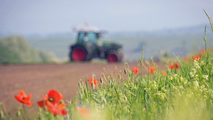 Sustainability-Action-Plan-Biodiversity-and-ecosystems-tractor-wildflower-margin-c-Adobe.jpg