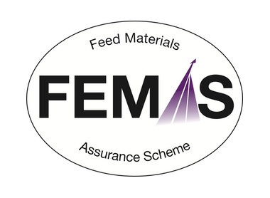 FEMAS logo