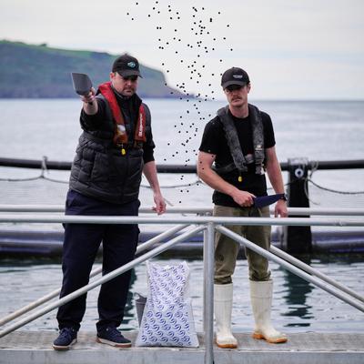 Image-People-Farm-Farmer-Oct24 229 crop.jpg