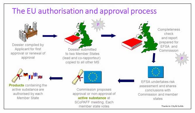 A summary of the PPP approval and authorisation process