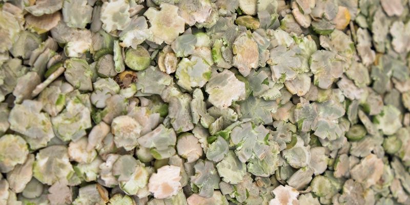 flaked-peas-c-tim-scrivener.jpg