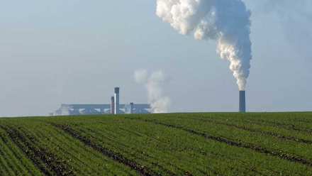 agriculture-emissions-greenhouse-gas-sugar-beet-factor-crop-field-c-tim-scrivener.jpg