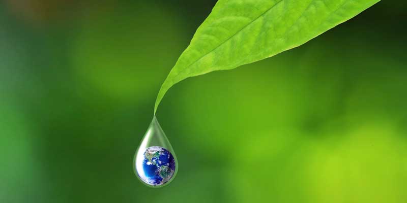 web-crop-sustainability-stock-photo-earth-in-water-drop-reflection-under-green-leaf-elements-of-this-image-furnished-by-nasa-202939108.jpg