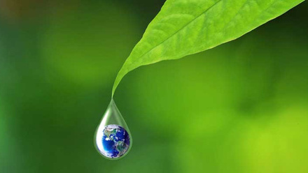 web-crop-sustainability-stock-photo-earth-in-water-drop-reflection-under-green-leaf-elements-of-this-image-furnished-by-nasa-202939108.jpg