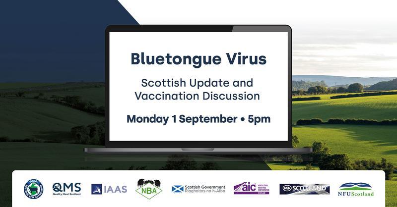 QMS Bluetongue webinar socials - Aug 25 - LinkedIn.jpg