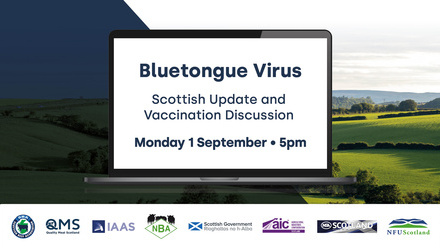 QMS Bluetongue webinar socials - Aug 25 - LinkedIn.jpg