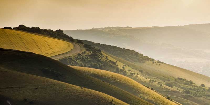 web-crop-devils-dyke-rolling-hills-countryside-mixed-farming-c-shutterstock512240536.jpg