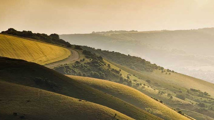 web-crop-devils-dyke-rolling-hills-countryside-mixed-farming-c-shutterstock512240536.jpg