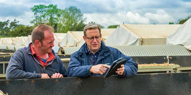 far-feed-adviser-farmer-outdoor-pigs.jpg