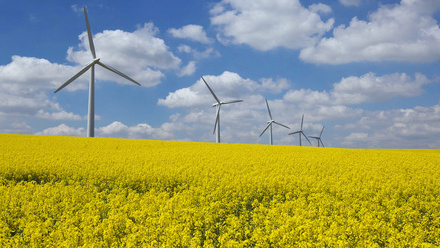 header-climate-change-oilseed-rape-osr-wind-turbines-biofuel-sustainability-green-energy-c-tim-scrivener.jpg
