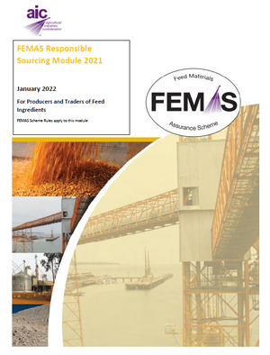 FEMAS RS Module 2021.PNG