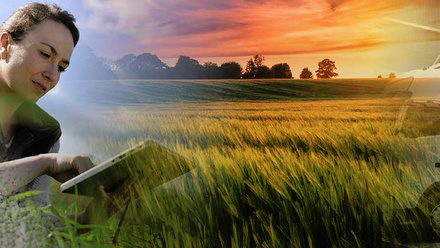 AIC-Anniversary-Web-Banner-2-crop.jpg 1