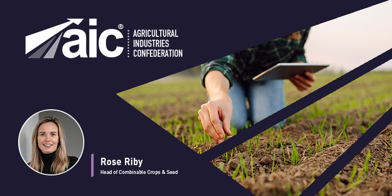 33950 AIC Blog Module Rose.jpg