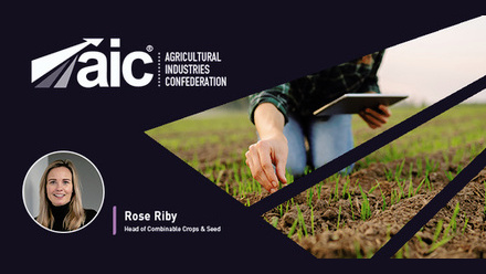 33950 AIC Blog Module Rose.jpg