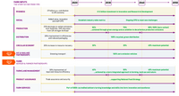 Roadmap timeline