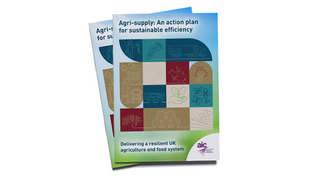 AIC-Sustainability-Action-Plan-cover-thumbnail.jpg