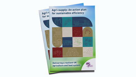 AIC-Sustainability-Action-Plan-cover-thumbnail.jpg