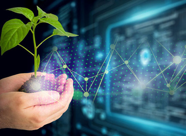 web-crop-soil-hands-sustainability-data-c-AdobeStock_560466590.jpg