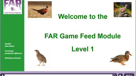 FAR Game Feed Module Level 1 Low Res.jpg 2