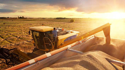 combine-grain-unloading-aic-report-c-iStock-143917156.jpg