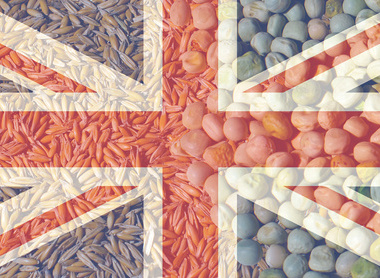 UK Feed Register Union Jack[10].jpg