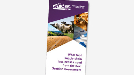 Scotland Manifesto Header.jpg
