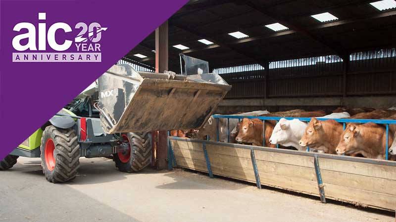 aic-at-20-GFLI-beef-cattle-feed-c-tim-scrivener.jpg