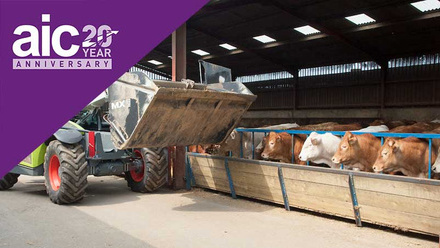 aic-at-20-GFLI-beef-cattle-feed-c-tim-scrivener.jpg