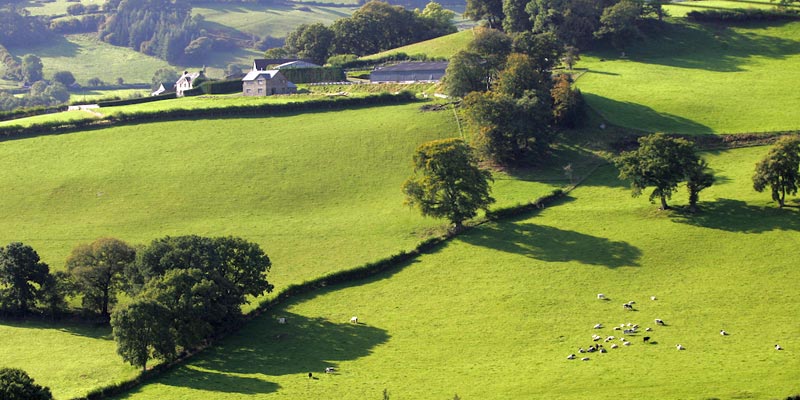 Welsh-countryside-c-tim-scrivener.jpg