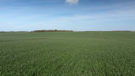 452016 40047.JPG