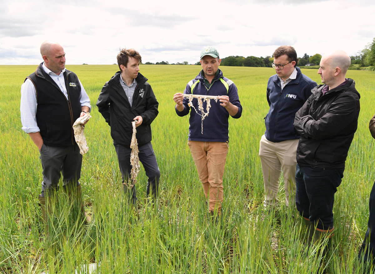 Food and Farming Fellowship Scheme 2026