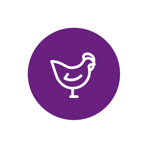 FAR Case study roundels-Poultry-01.png