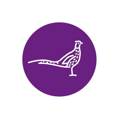 FAR Case study roundels-Gamebirds-01.png