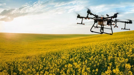 Powering-Productivity-report-drone-osr-crop-oilseed-rape-c-AdobeStock_606901943.jpg