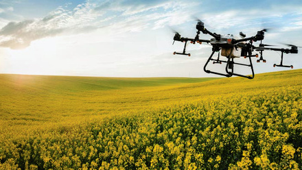 Powering-Productivity-report-drone-osr-crop-oilseed-rape-c-AdobeStock_606901943.jpg