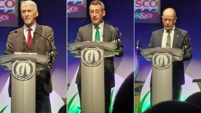 Untitled design (1).png