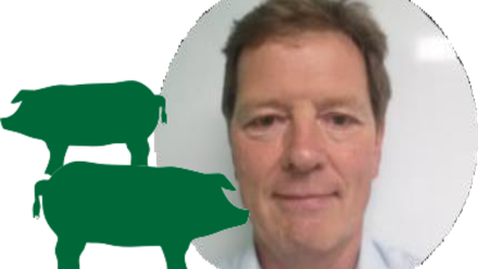 David hardy.png