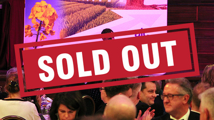 2024-Toby-ReichJPG sold out.jpg