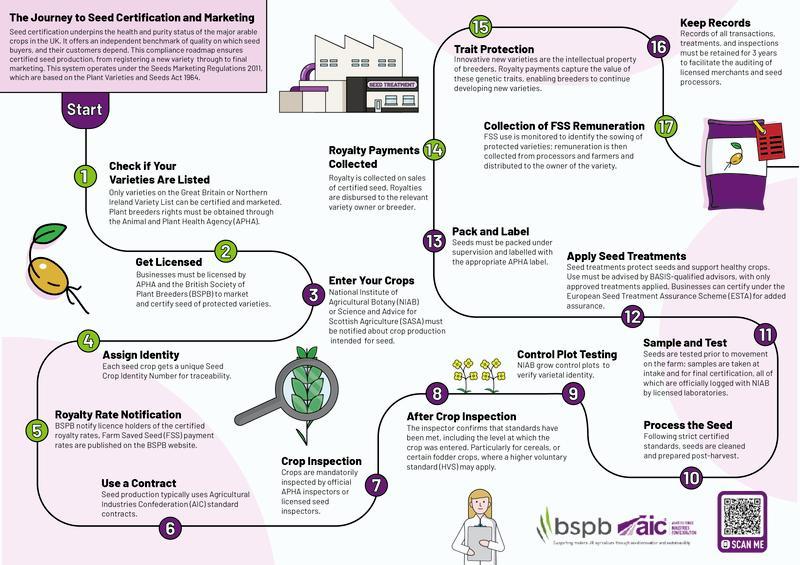 AIC Journey to Seed Certification and Marketing Infographic.jpg
