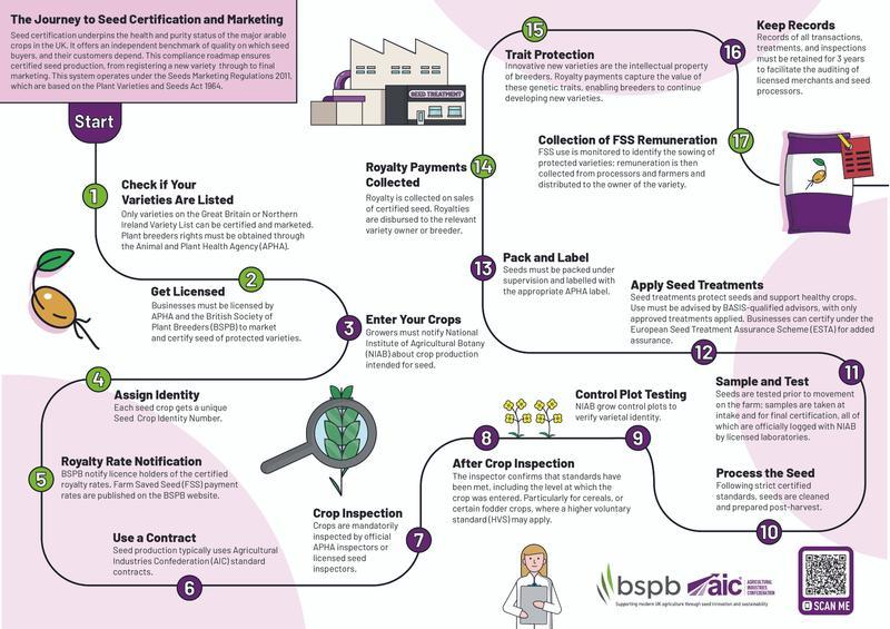 AIC Journey to Seed Certification and Marketing Infographic.jpg