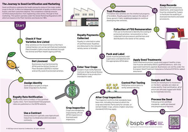 AIC Journey to Seed Certification and Marketing Infographic.jpg