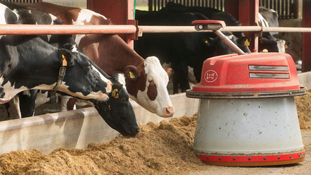 dairy-cows-lely-robot-c-tim-scrivener.jpg